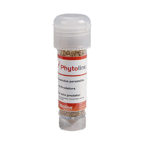 Phytoline - 2000 per 30ml Vial - Biological Control